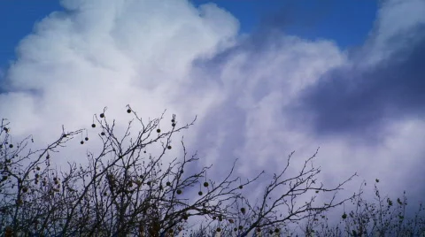 Autumn Clouds  Vidéo 88990