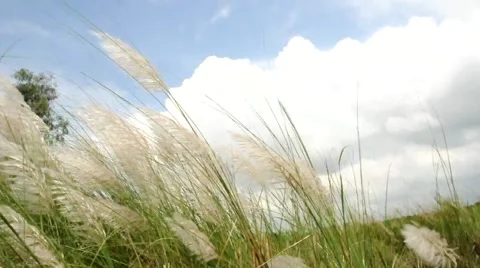 Autumn clouds Stock Footage 41954090