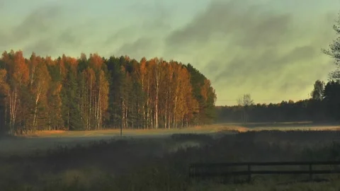 Autumn cloudy morning in the forest clouds are flying low Stock Footage 164551288