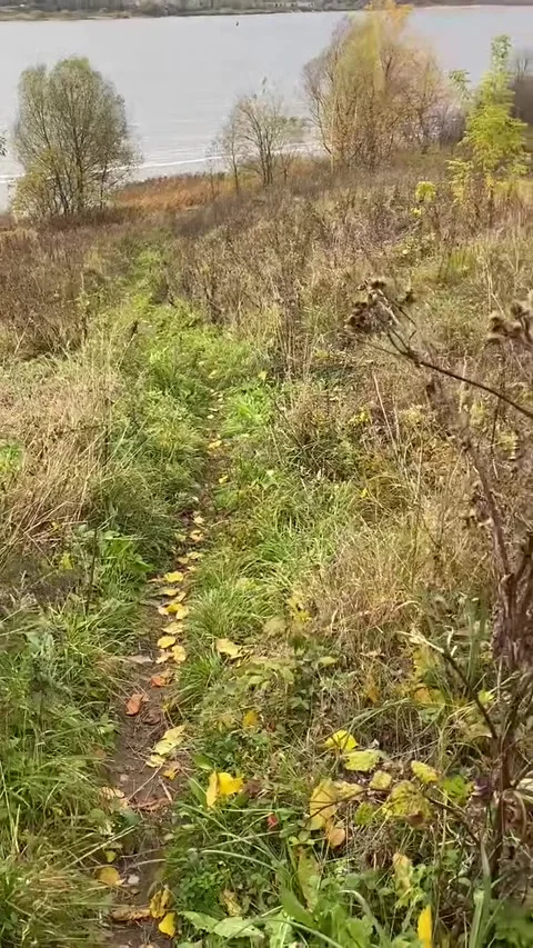 Autumn coast with hills Stock Footage 287827280