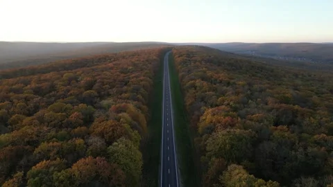 Autumn in Codri Stock Footage 290043132