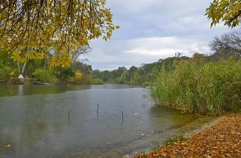 Autumn cold river in the forest Stock Photos