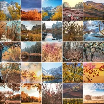 Autumn collage Fotos Stock