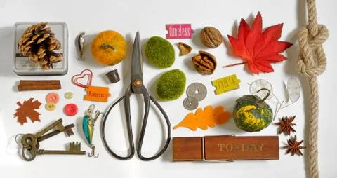 Autumn Collection  Mockup objects Free Stock Photos