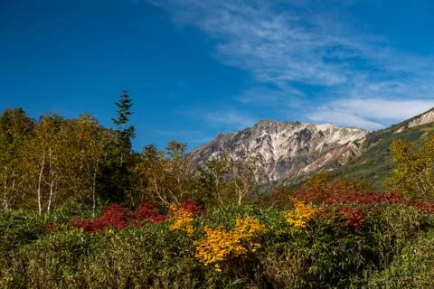 Autumn color Stock Photos
