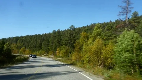 Autumn color road, Hyper time lapse driving on route e75 full of different fa Stock Footage 82109211