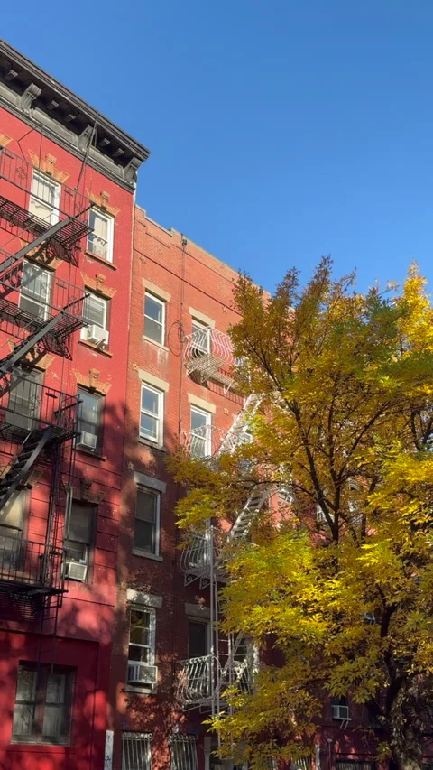 Autumn color Trees sway by wind stand beside Apartment buildings at East Village Stockbeeldmateriaal 314347340