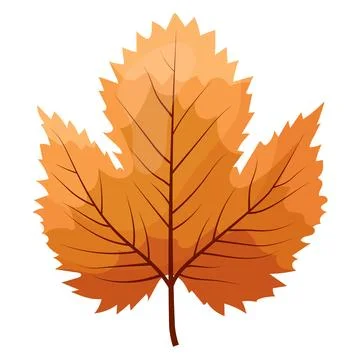 Autumn colored bright leaf highlighted on a white background. Stock Illustration