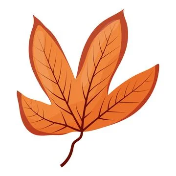 Autumn colored bright leaf highlighted on a white background. Stock Illustration