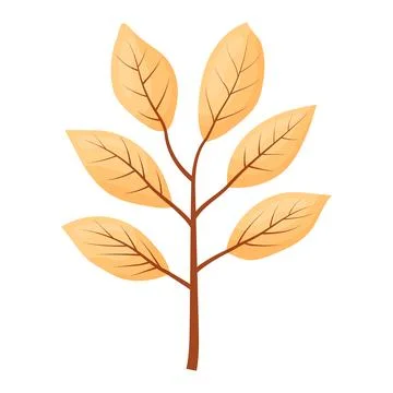 Autumn colored bright leaf highlighted on a white background. Stock Illustration
