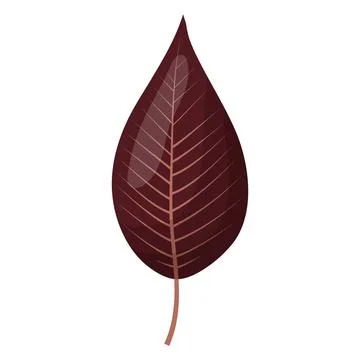 Autumn colored bright leaf highlighted on a white background. Stock Illustration