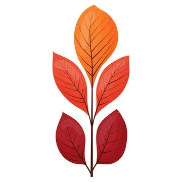 Autumn colored bright leaf highlighted on a white background. Stock Illustration