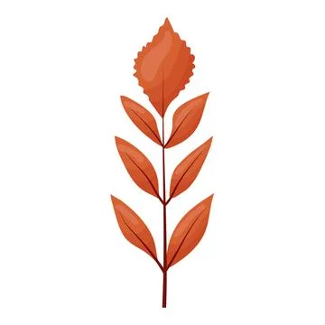 Autumn colored bright leaf highlighted on a white background. Stock Illustration