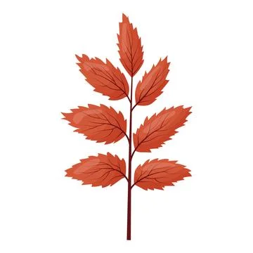 Autumn colored bright leaf highlighted on a white background. Stock Illustration