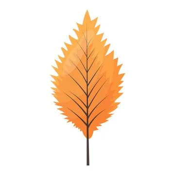 Autumn colored bright leaf highlighted on a white background. Stock Illustration