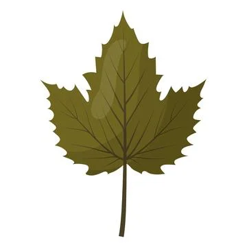 Autumn colored bright leaf highlighted on a white background. Stock Illustration