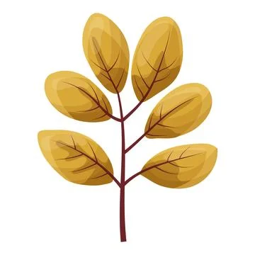 Autumn colored bright leaf highlighted on a white background. Stock Illustration