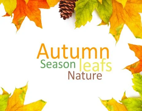 Autumn colored falling leafs isolated on white background Stock Photos