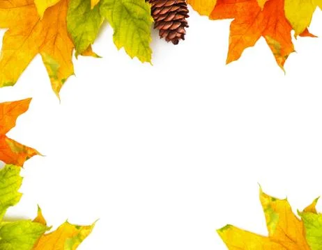 Autumn colored falling leafs isolated on white background Stock-Fotos