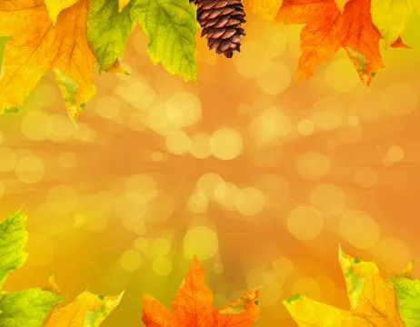 Autumn colored falling leafs Stock Photos