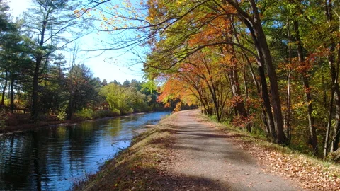 Autumn colored trees along path and river scene in New Hampshire 動画素材 201372622