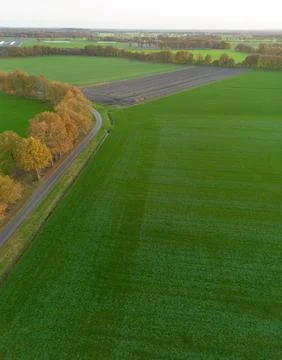 Autumn Colored Trees And Green Meadows, Westerbork, Aerial view Stock Photos