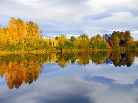 Autumn colored trees on cloudy sky background with reflections Stock Photos