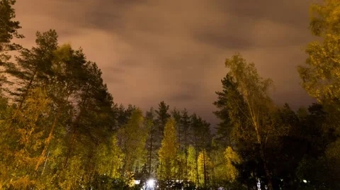 Autumn colored trees nighttime 4k timelapse with fast moving clouds and stars Stock Footage 56240798