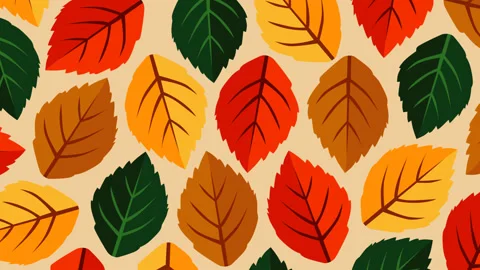 Autumn Colorful Leaf Pattern Background with Seamless Botanical Fall Loop An Stock Footage 339159802