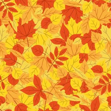 Autumn colorful leaf pattern Stock Illustration
