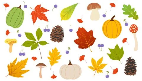 Autumn colorful set 库存插图