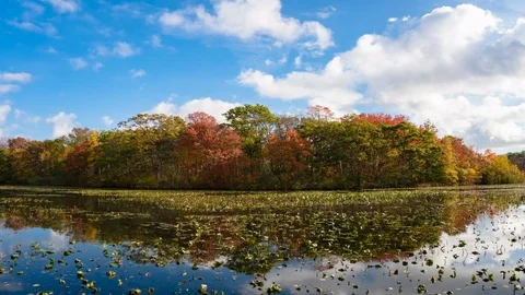 Autumn Colors 4k Stock Footage 82367220