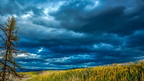 Autumn Colors Angry Clouds Oct 2017 Stock Footage 81682423