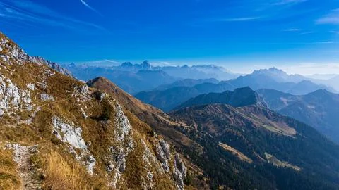 Autumn colors are exploding in the woods of Carnic Alps Stock Photos