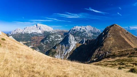 Autumn colors are exploding in the woods of Carnic Alps Stock Photos