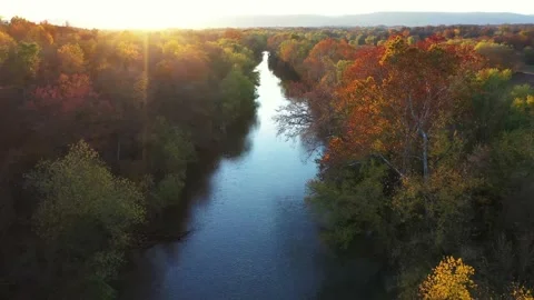 Autumn Colors Flying Downstream Stock Footage