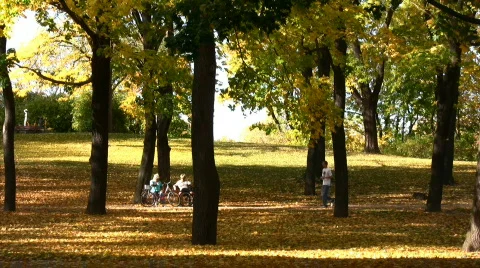 Autumn colors Stock Footage 518943