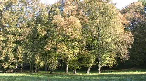 Autumn colors Видео 10759224