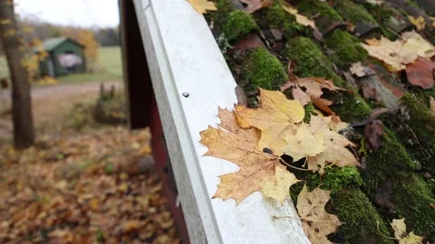 Autumn colors Stock Footage 219796683
