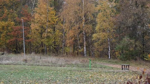 Autumn colors Stock Footage 219796737