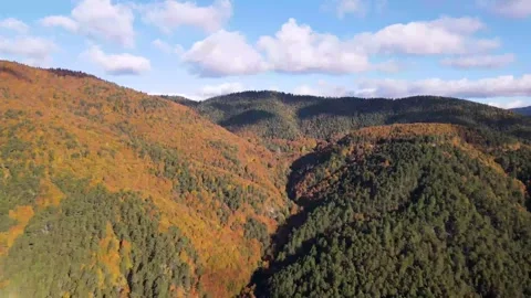 Autumn Colors Stock Footage 332397162