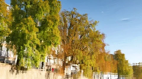 Autumn colors on the ill river. Stock Footage 96830554