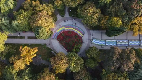 Autumn colors in the park Video stock 168566748