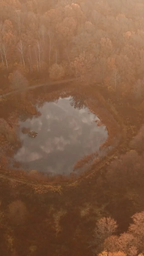 Autumn colors reflect in tranquil forest pond in Sweden during golden hour Stock Footage 322053765