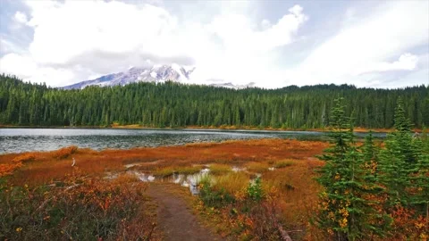 Autumn Colors at Reflection Lake, Mount Rainier National Park, Washington State, Stock Footage 332139461