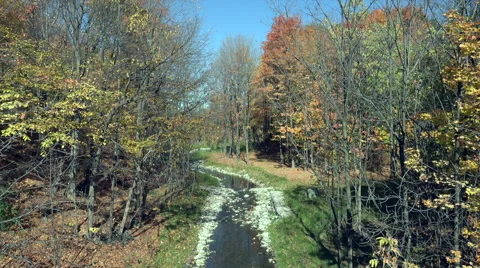 Autumn Colors by the River. Stock Footage 45892794