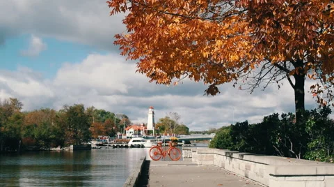 Autumn colors by the river Stock Footage 56149656