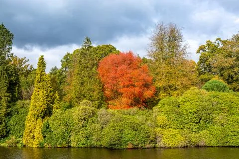 Autumn Colour Stock Photos