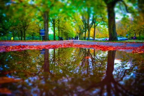 Autumn colour reflection Stock Photos