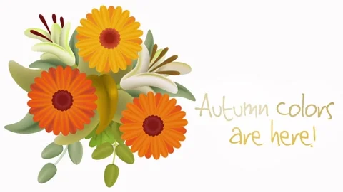 Autumn colours are here Stock Footage 250976103